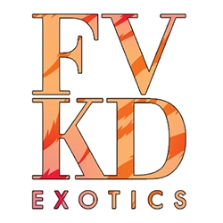 FVKD Exotics
